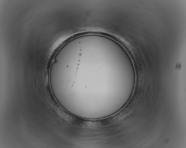 X0000090751271200708031600