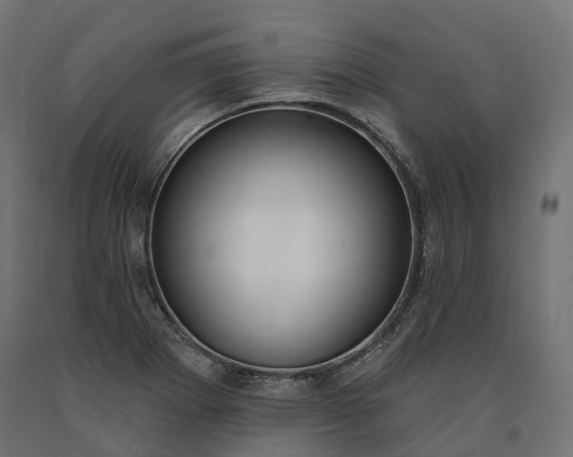 X0000090751273200708031600