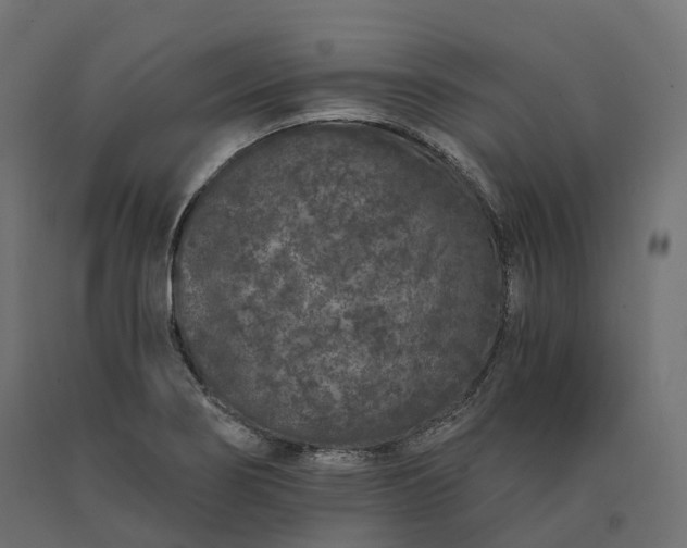 X0000090751274200708031600