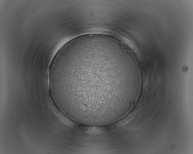 X0000090751275200708031600