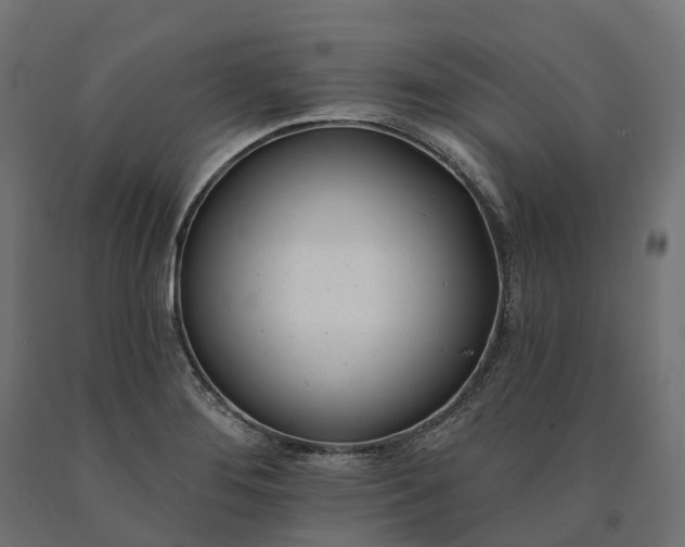 X0000090751276200708031600