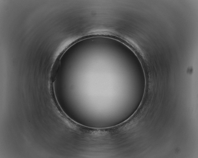 X0000090751277200708031600