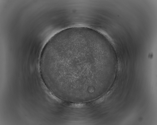 X0000090751278200708031600