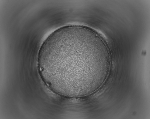 X0000090751279200708031600