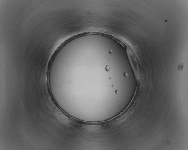 X0000090751280200708031600