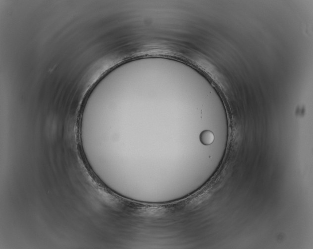 X0000090751282200708031559