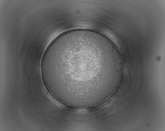 X0000090751283200708031559