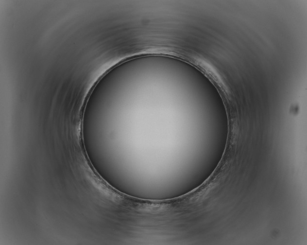 X0000090751284200708031559