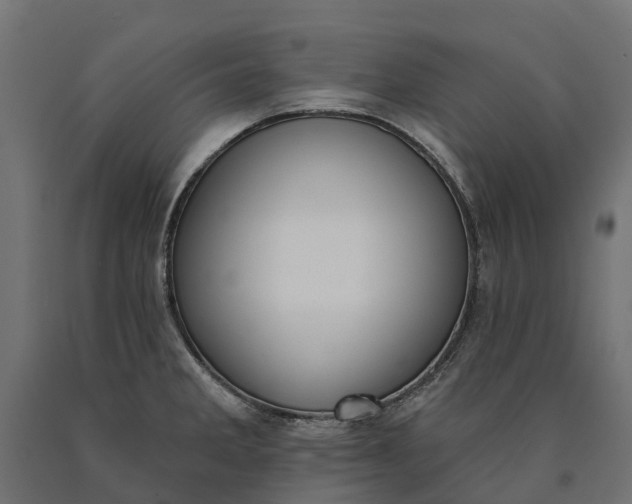 X0000090751285200708031559