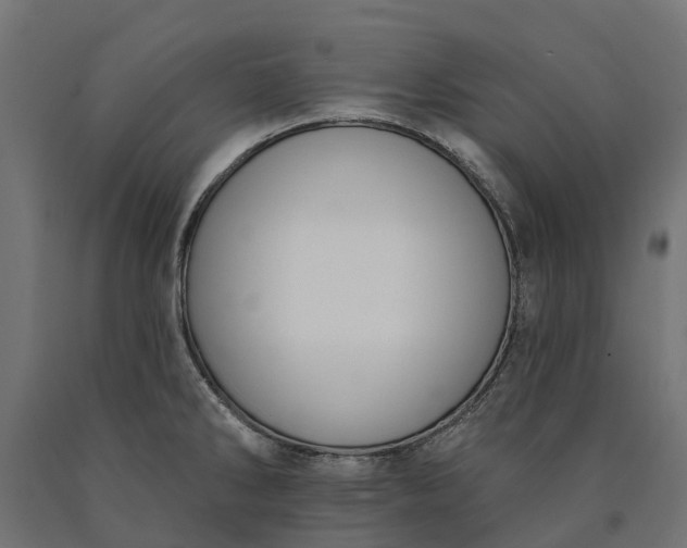 X0000090751286200708031559