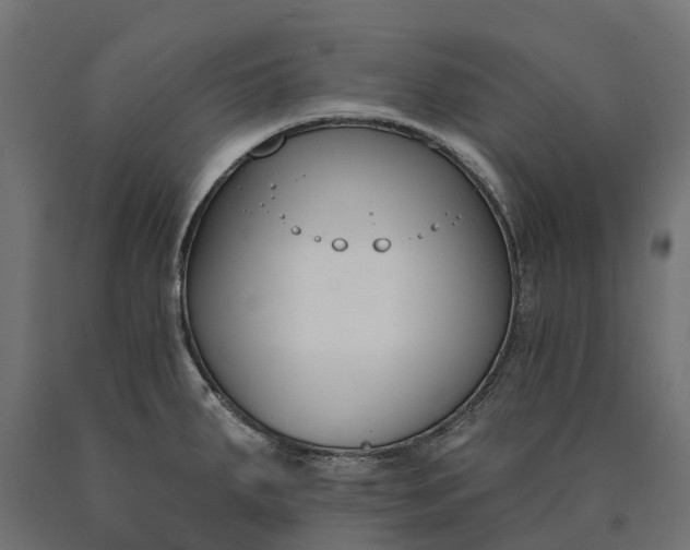 X0000090751287200708031559