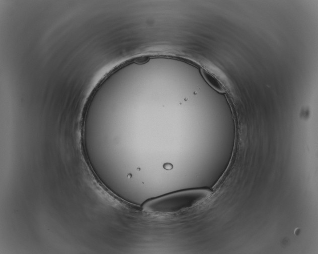 X0000090751288200708031559