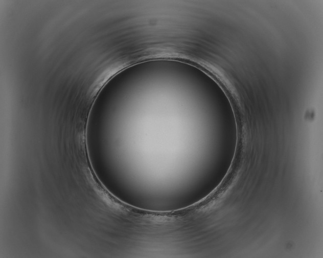 X0000090751289200708031559