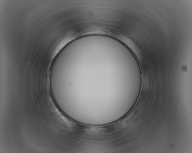 X0000090751290200708031559