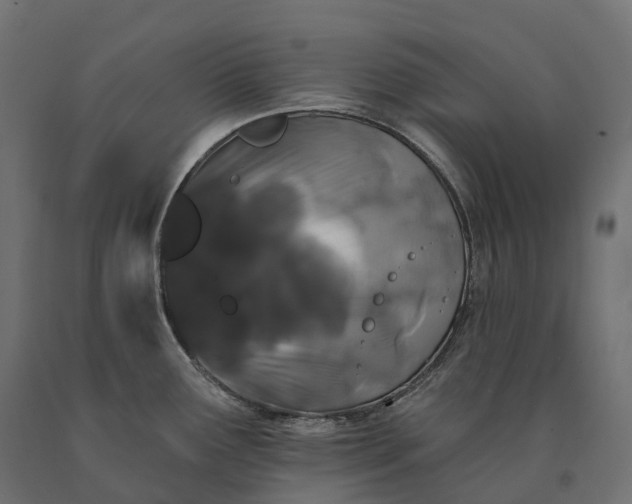 X0000090751291200708031559