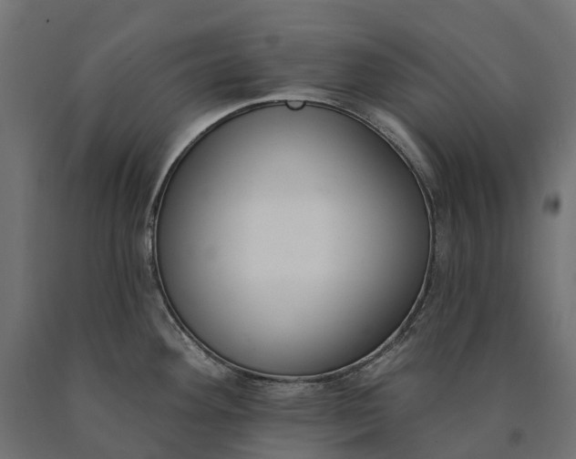 X0000090751292200708031559