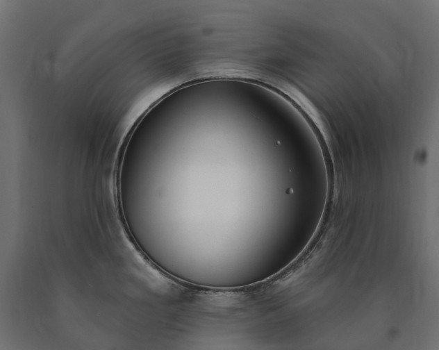 X0000090751293200708031559