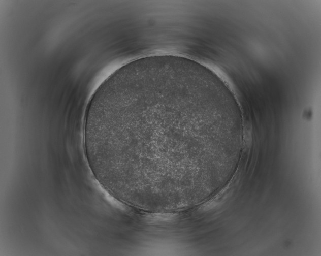 X0000090751294200708031559