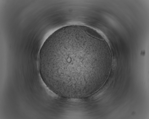 X0000090751295200708031559