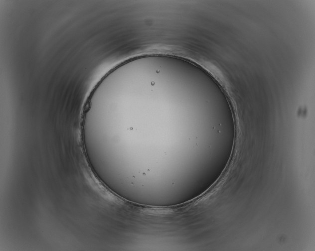 X0000090751296200708031559