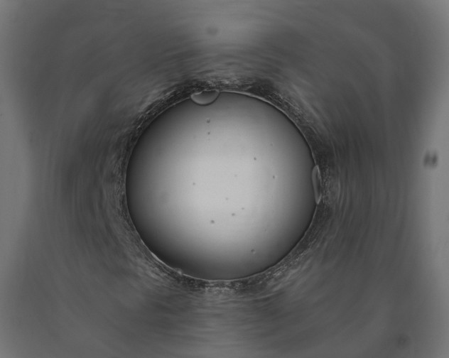 X0000090751297200708031559