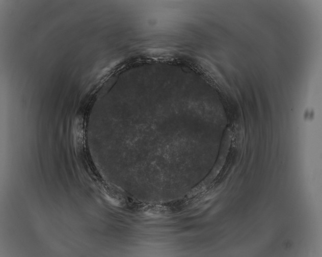 X0000090751298200708031559