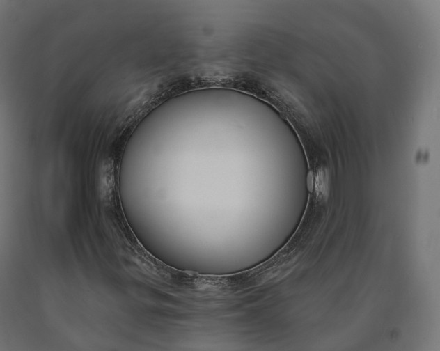 X0000090751299200708031559