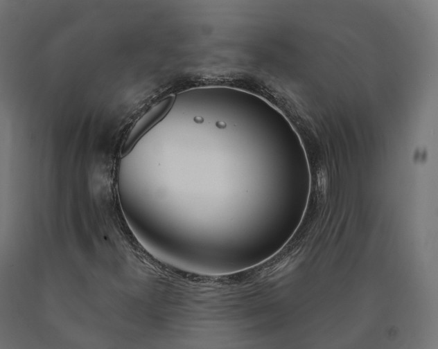 X0000090751300200708031559