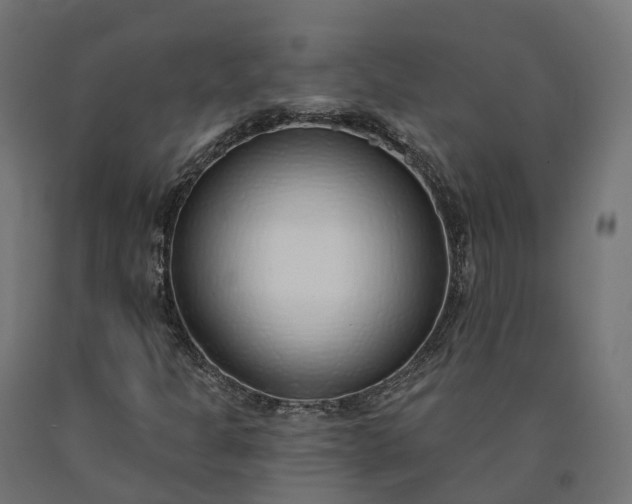 X0000090751301200708031559