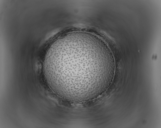 X0000090751302200708031559