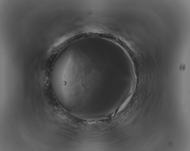 X0000090751303200708031559