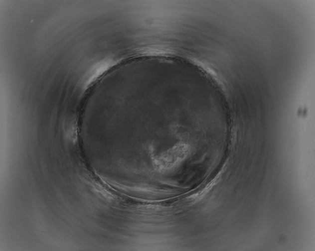 X0000090751306200708031559