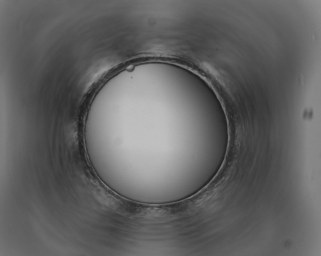 X0000090751307200708031559