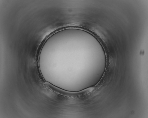 X0000090751308200708031559