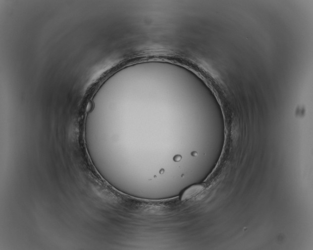 X0000090751309200708031559