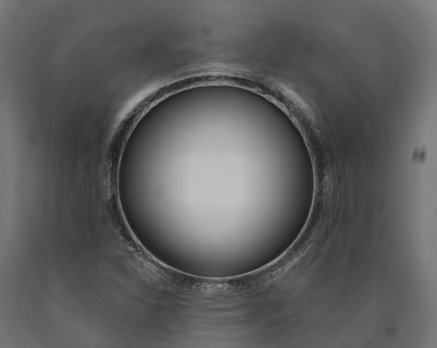 X0000090751310200708031559