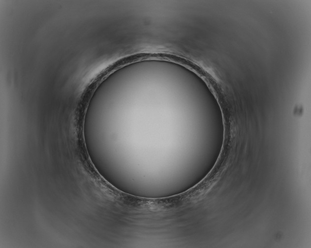 X0000090751311200708031559