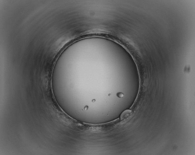 X0000090751313200708031559