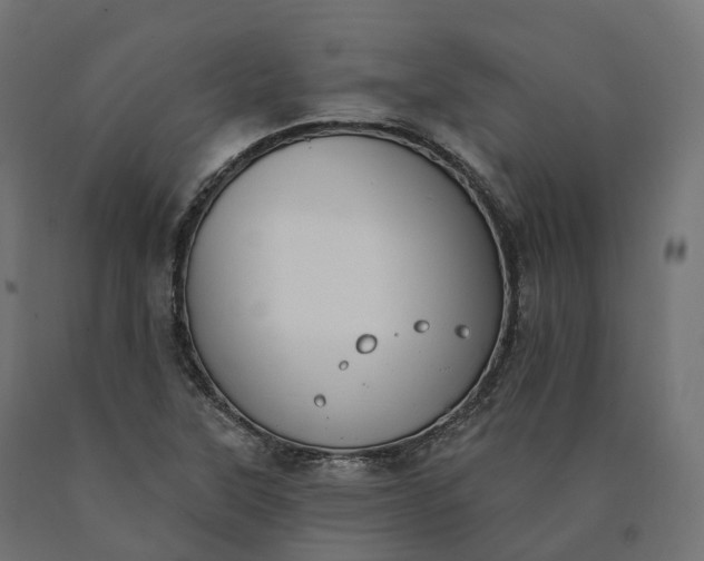 X0000090751315200708031559