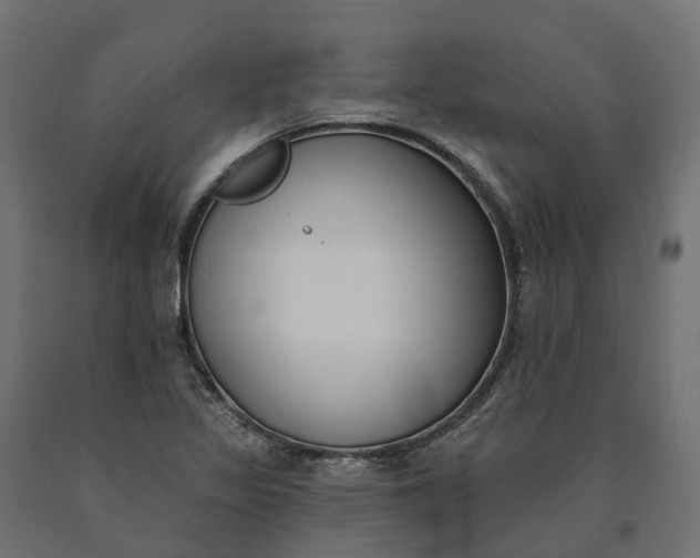 X0000090751317200708031559