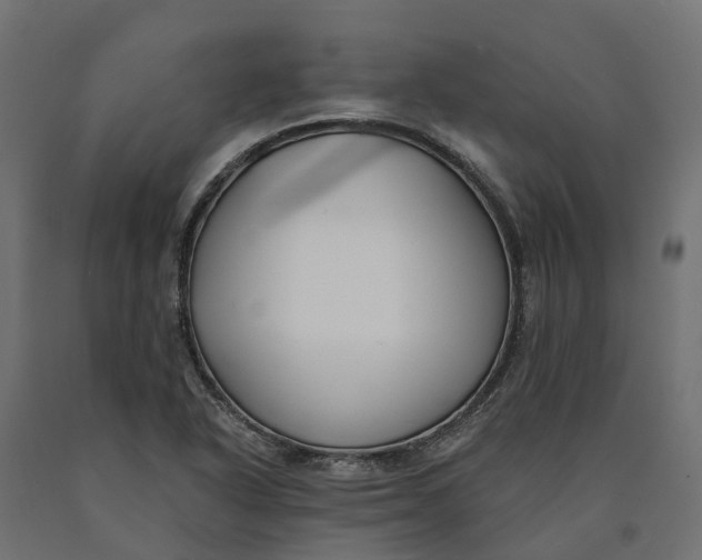 X0000090751318200708031559