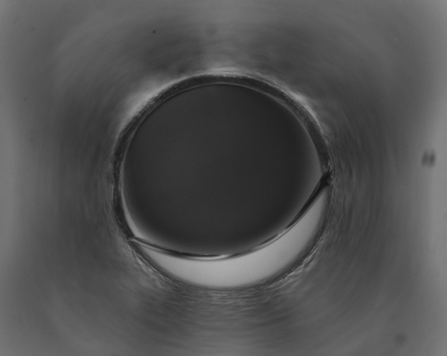 X0000090751319200708031559