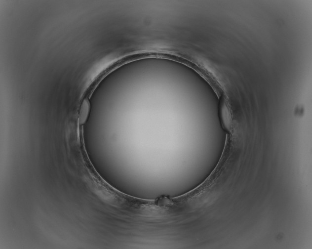 X0000090751320200708031559