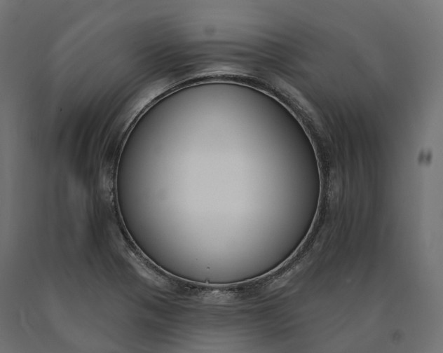 X0000090751321200708031559