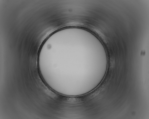 X0000090751322200708031559