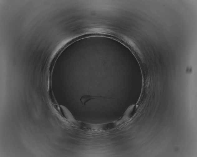 X0000090751323200708031559