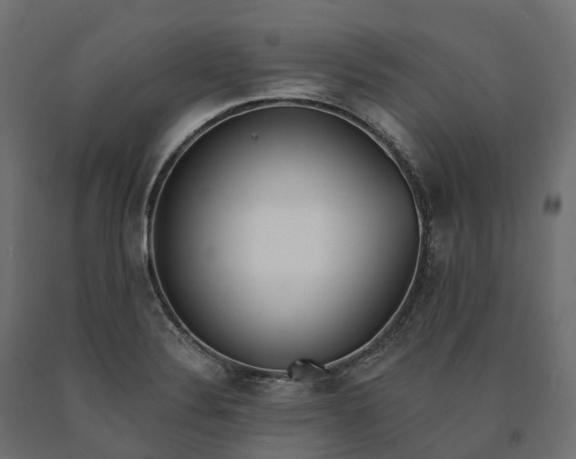 X0000090751324200708031559