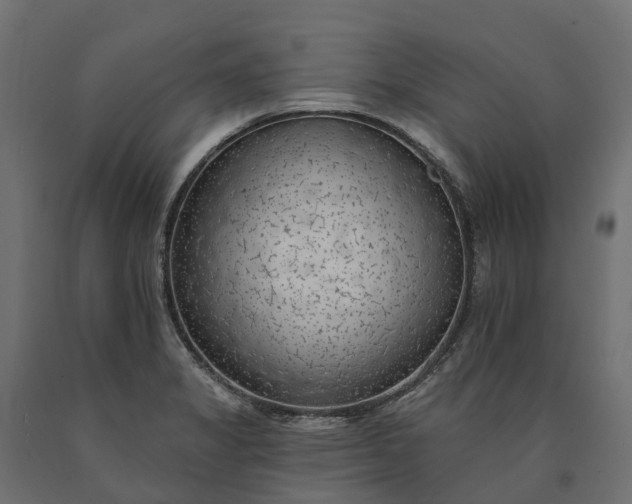 X0000090751325200708031559