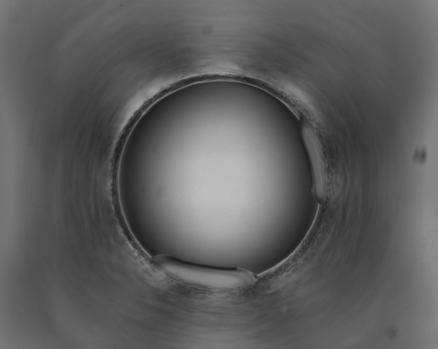 X0000090751326200708031559