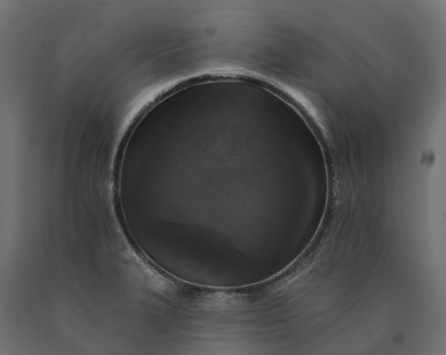 X0000090751327200708031559